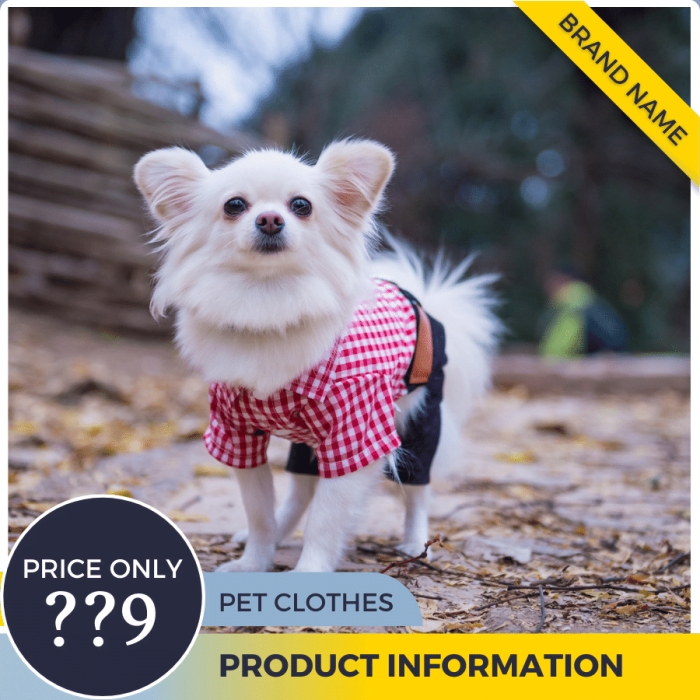 Mẫu Canva quảng cáo quần áo thú cưng màu xám xanh và màu vàng cho bài đăng thương mại điện tử và phương tiện truyền thông xã hội