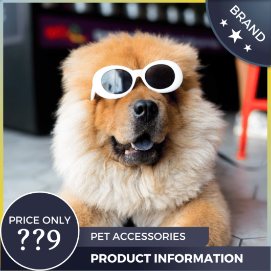 Mẫu Canva quảng cáo phụ kiện thú cưng màu xám xanh cho thương mại điện tử và truyền thông xã hội, bài đăng tại cửa hàng thú cưng, chương trình giảm giá