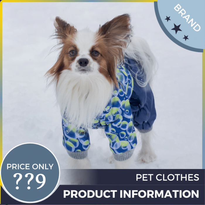 Mẫu Canva quảng cáo quần áo thú cưng màu xám xanh cho thương mại điện tử và phương tiện truyền thông xã hội, bài đăng trên thị trường