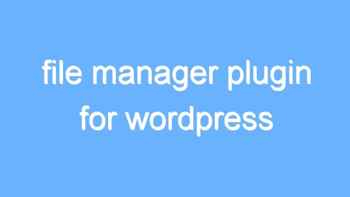 file manager plugin for wordpress