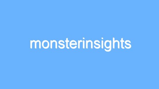 monsterinsights