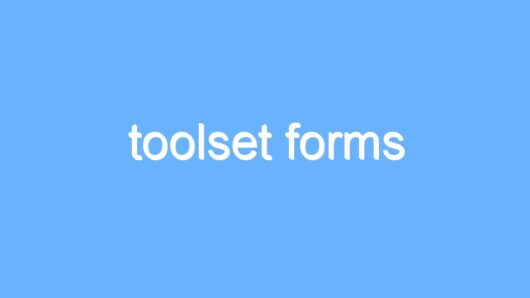 toolset forms
