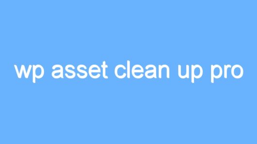 wp asset clean up pro