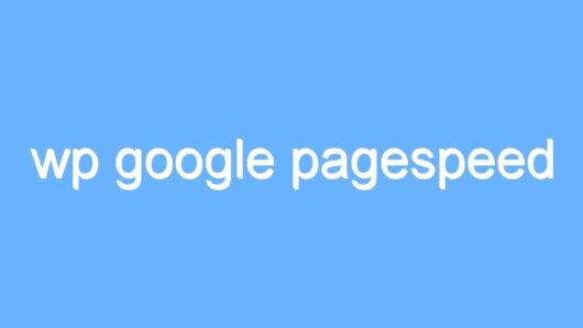 wp google pagespeed