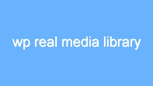 wp real media library
